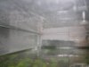 P1010099.JPG