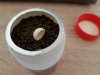 20171103_120831.jpg