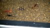20171205_182247.jpg