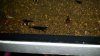 20171205_182320.jpg