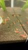 20171206_231647.jpg