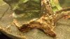 20171209_201043.jpg