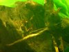 dsc00222c2ol6.jpg
