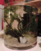 Vase Filter.PNG