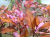 IMG_20180216_155938_382.jpg