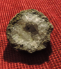 Druse.PNG