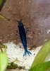 20180414_224450.jpg