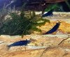 20180414_224311.jpg