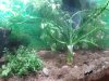 20180501_144539-1632x1224.jpg