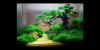 b9dd2eb1075dc4fec61e2e5dcfc863dc.png