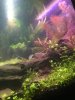 70803CEC-D071-4168-A8CB-9ADFE5BF566B.jpeg