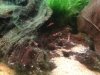 C6CE9640-0DAE-43EC-A370-3542A1748D62.jpeg