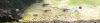 022A65D3-ADD7-485A-B04F-07274B80D376.jpeg