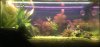 2B029005-EDE4-402B-8EF0-B0690715C582.jpeg