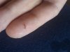 20180518_181024.jpg