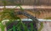 20180519_200810_crop_306x188-800x492-320x197.jpg