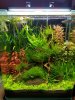 20171002_170455.jpg