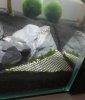 20180527_174716.jpg
