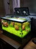 20180610_081656-min.jpg