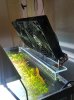 20180610_081407-min.jpg
