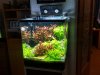 20180610_081712-min.jpg