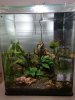 Aquarium.jpg