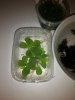 20180612_185909.jpg