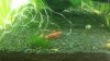 20180721_144740.jpg
