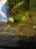 IMG_20180811_131935-1382x1843.jpg