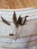 20180628_162922.jpg