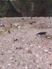 20180906_142530.jpg