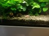 IMG_20180917_104449-2777x2083.jpg