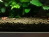 IMG_20180917_104442-2777x2083.jpg
