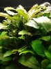 IMG_20180917_104458-2083x2777.jpg