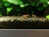 IMG_20180917_104532-2976x2232.jpg
