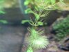 IMG-20180921-WA0017.jpg