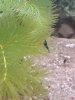 20180906_151444.jpg