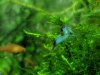 IMG-20180930-WA0038.jpg