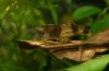 DSC_0113-2.jpg