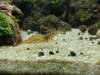 IMG_20181202_170618-1984x1488.jpg