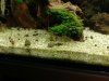IMG_20181202_165407-1984x1488.jpg