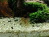 IMG_20181202_170611-1984x1488.jpg