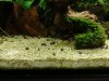 IMG_20181202_170559-1984x1488.jpg