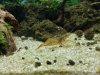 IMG_20181202_170620-1984x1488.jpg