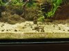 IMG_20181202_170414-1984x1488.jpg