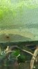 20200804_193118 (Copy).jpg