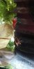 IMG_20210309_125624.jpg