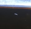 20210319_212538.jpg