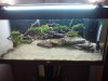 DSC00175.JPG
