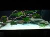 DSC00178.JPG